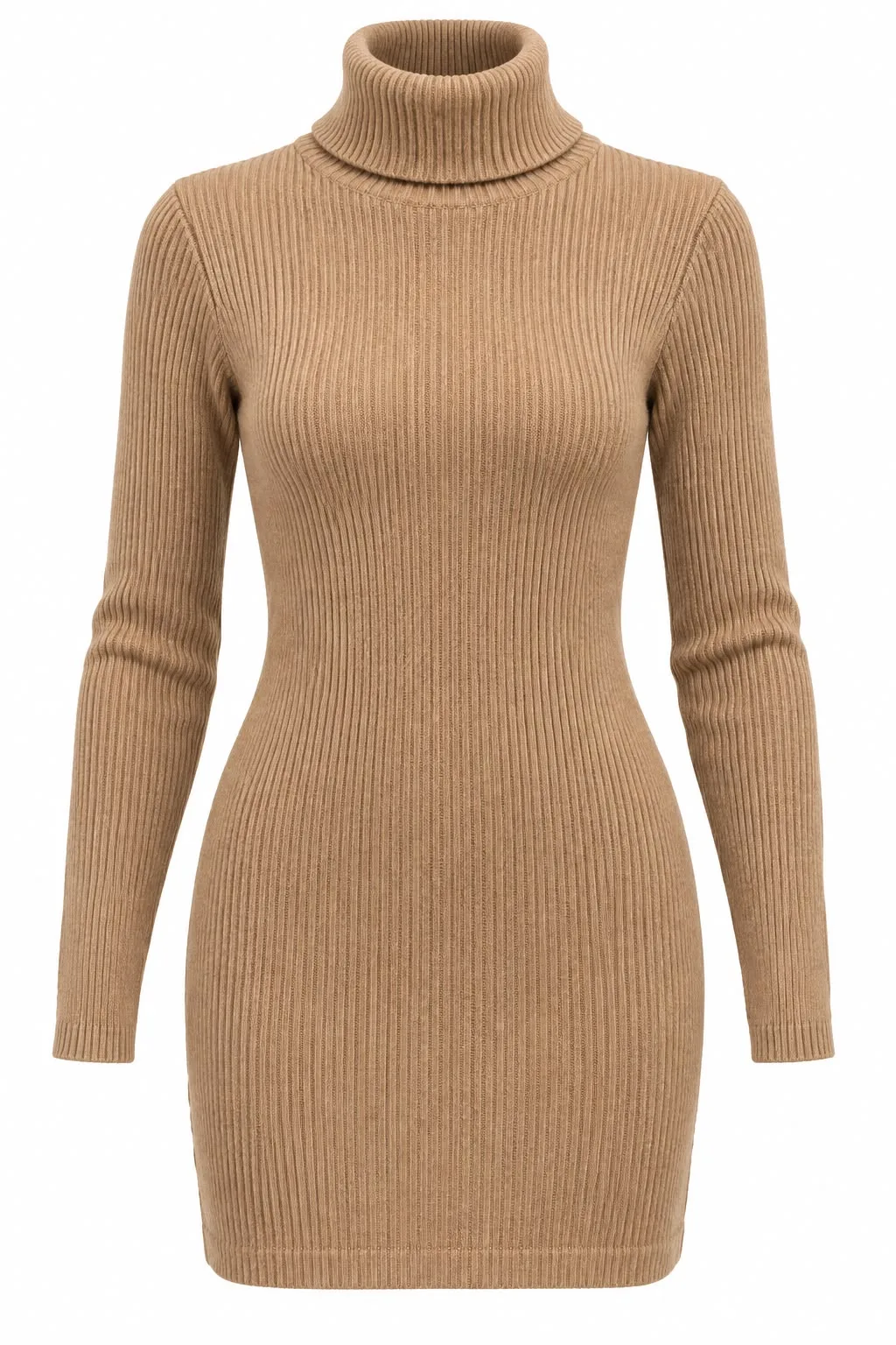 Ribbed Wool Turtleneck Mini Dress